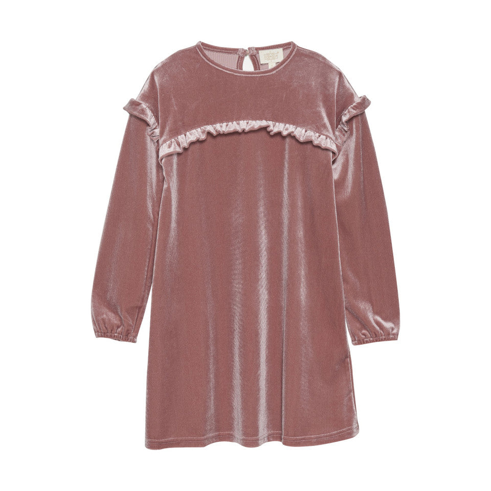 Velour Dress Rose Toads & Teacups Children's Shop