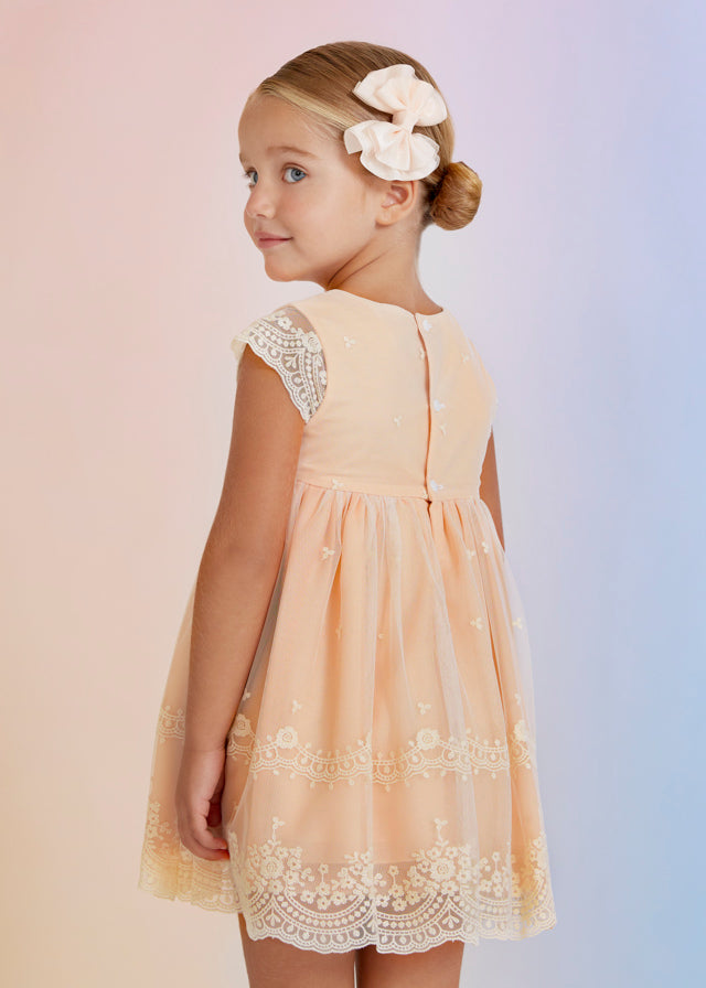 Embroidered Tulle Dress - Peach